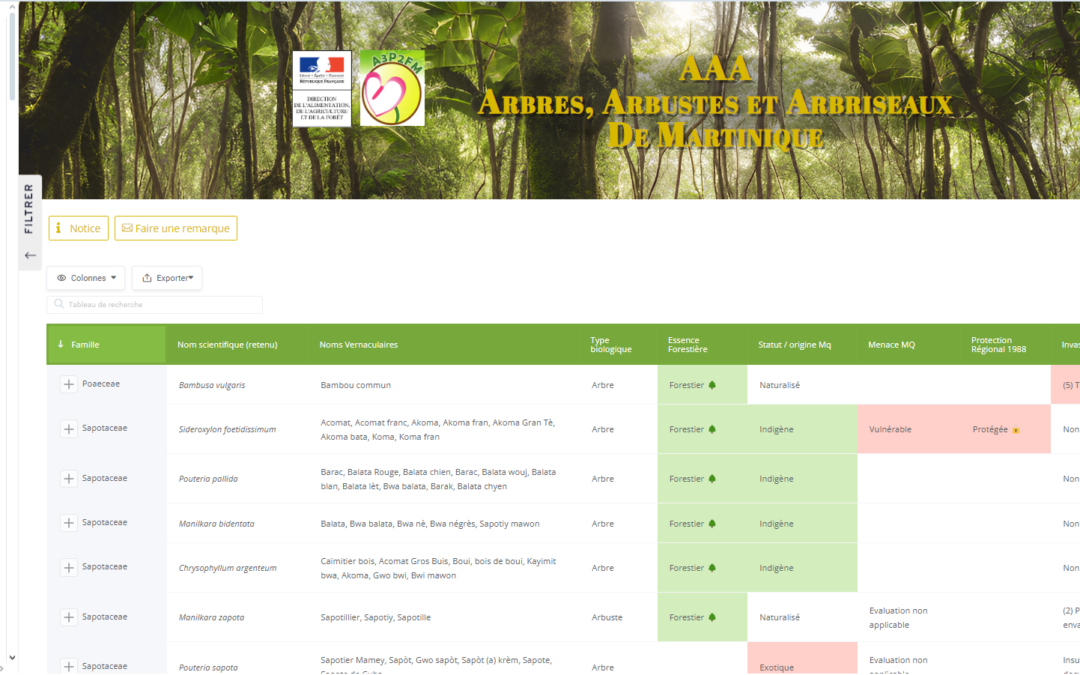 Réalisation d’un Site Web pour une Association
